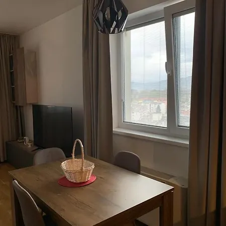 وردة اليجا Sarajewo