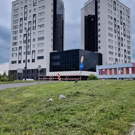 وردة اليجا * Sarajewo