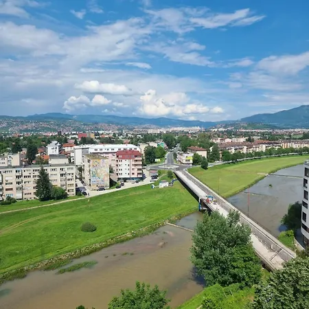 وردة اليجا Sarajevo