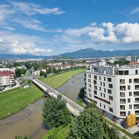 وردة اليجا Sarajevo