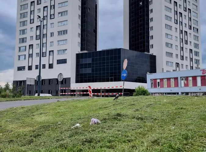 وردة اليجا * 塞拉耶佛